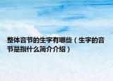 整体音节的生字有哪些（生字的音节是指什么简介介绍）