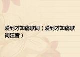 爱到才知痛歌词（爱到才知痛歌词注音）