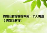 假如没有你的时候我一个人喝酒（假如没有你）