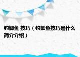 钓鲫鱼 技巧（钓鲫鱼技巧是什么简介介绍）