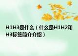 H1H3是什么（什么是H1H2和H3标签简介介绍）