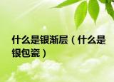 什么是银渐层（什么是银包瓷）