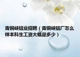 青铜峡铝业招聘（青铜峡铝厂怎么样本科生工资大概是多少）