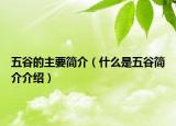 五谷的主要简介（什么是五谷简介介绍）