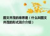 图文并茂的意思是（什么叫图文并茂的形式简介介绍）