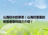 山海经中的狼类（山海经里面的驰狼是狼吗简介介绍）