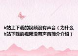 b站上下载的视频没有声音（为什么b站下载的视频没有声音简介介绍）