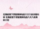 北海疫情下滞留涠洲岛的八天八夜详细内容 北海疫情下滞留涠洲岛的八天八夜具体介绍