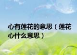 心有莲花的意思（莲花心什么意思）