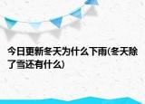 今日更新冬天为什么下雨(冬天除了雪还有什么)