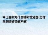 今日更新为什么输卵管堵塞(怎样自测输卵管通不通)