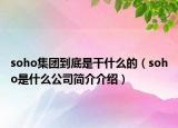 soho集团到底是干什么的（soho是什么公司简介介绍）