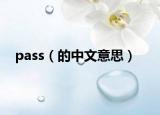 pass（的中文意思）