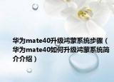 华为mate40升级鸿蒙系统步骤（华为mate40如何升级鸿蒙系统简介介绍）