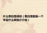 什么春白雪词语（春白雪前面一个字是什么啊简介介绍）