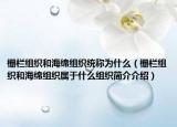 栅栏组织和海绵组织统称为什么（栅栏组织和海绵组织属于什么组织简介介绍）