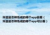 坏蛋是怎样炼成的哪个app能看（坏蛋是怎样炼成的哪个app可以看）