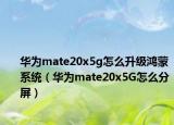 华为mate20x5g怎么升级鸿蒙系统（华为mate20x5G怎么分屏）