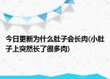 今日更新为什么肚子会长肉(小肚子上突然长了很多肉)