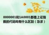0000001和1A0001都是上证指数的代码吗有什么区别（急求）