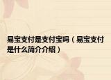 易宝支付是支付宝吗（易宝支付是什么简介介绍）