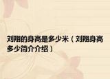 刘翔的身高是多少米（刘翔身高多少简介介绍）