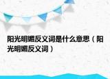 阳光明媚反义词是什么意思（阳光明媚反义词）