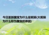 今日更新国宝为什么是熊猫(大熊猫为什么称为国宝的原因)