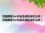 驾驰腾雾5w30全合成机油怎么样（驾驰腾雾5w30全合成机油怎么样）