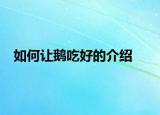 如何让鹅吃好的介绍