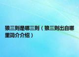狼三则是哪三则（狼三则出自哪里简介介绍）