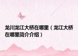 龙川龙江大桥在哪里（龙江大桥在哪里简介介绍）