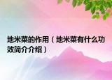 地米菜的作用（地米菜有什么功效简介介绍）