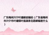 广东梅州兴宁叶塘邮政编码（广东省梅州市兴宁市叶塘镇叶南温泉北路邮编是什么）