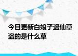 今日更新白娘子盗仙草盗的是什么草