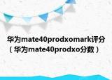 华为mate40prodxomark评分（华为mate40prodxo分数）