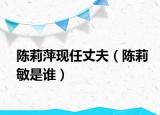 陈莉萍现任丈夫（陈莉敏是谁）