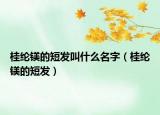 桂纶镁的短发叫什么名字（桂纶镁的短发）