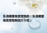 乐清哪里有卖宠物的（乐清哪里有卖宠物狗简介介绍）