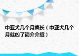 中亚犬几个月疯长（中亚犬几个月就凶了简介介绍）