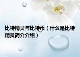 比特精灵与比特币（什么是比特精灵简介介绍）