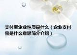 支付宝企业性质是什么（企业支付宝是什么意思简介介绍）