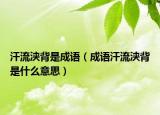 汗流浃背是成语（成语汗流浃背是什么意思）