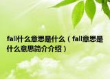fall什么意思是什么（fall意思是什么意思简介介绍）