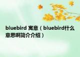 bluebird 寓意（bluebird什么意思啊简介介绍）