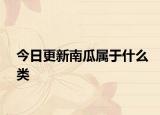 今日更新南瓜属于什么类