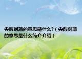 尖酸刻薄的意思是什么?（尖酸刻薄的意思是什么简介介绍）