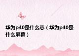 华为p40是什么芯（华为p40是什么屏幕）