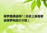 保罗是使徒吗?（历史上真有使徒保罗吗简介介绍）
