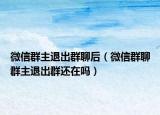 微信群主退出群聊后（微信群聊群主退出群还在吗）
